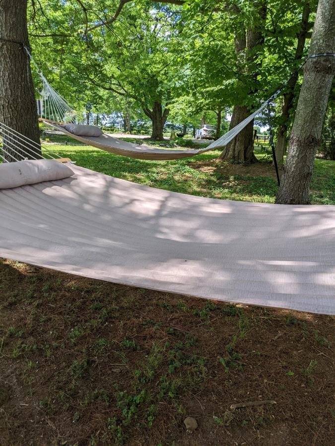 Maple Hill Manor Bed & Breakfast Springfield Εξωτερικό φωτογραφία